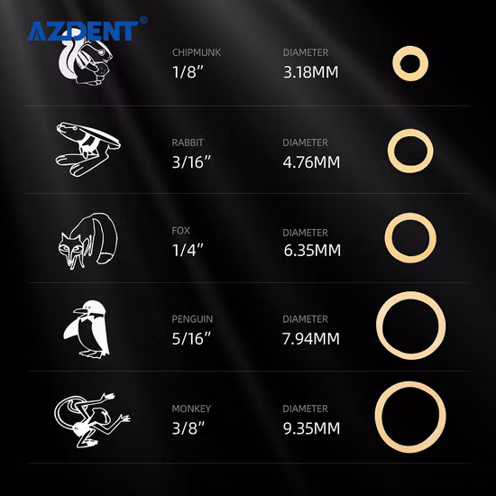 Best Selling Dental Orthodontic Elastic Band Different Models